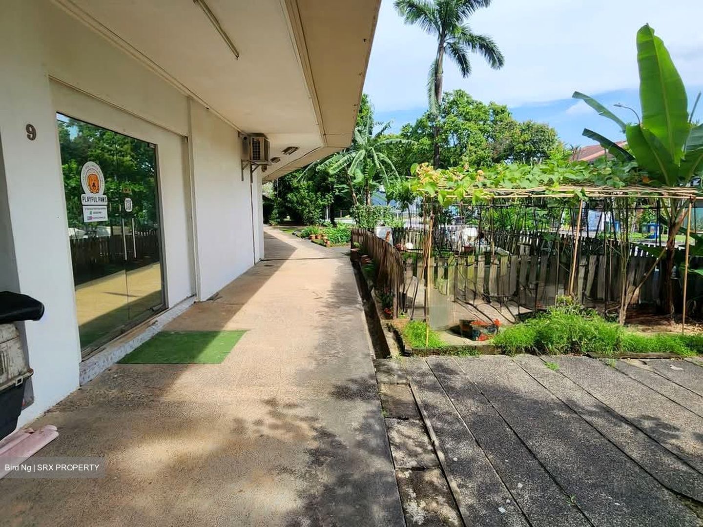 3bhc (D20), Retail #586610581